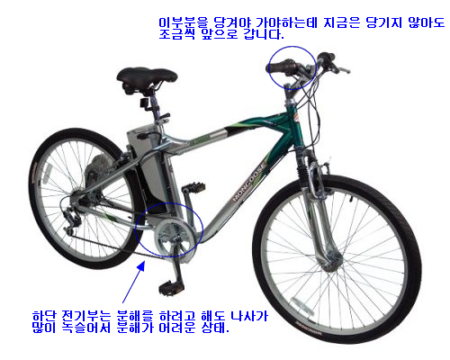 mongoose.png