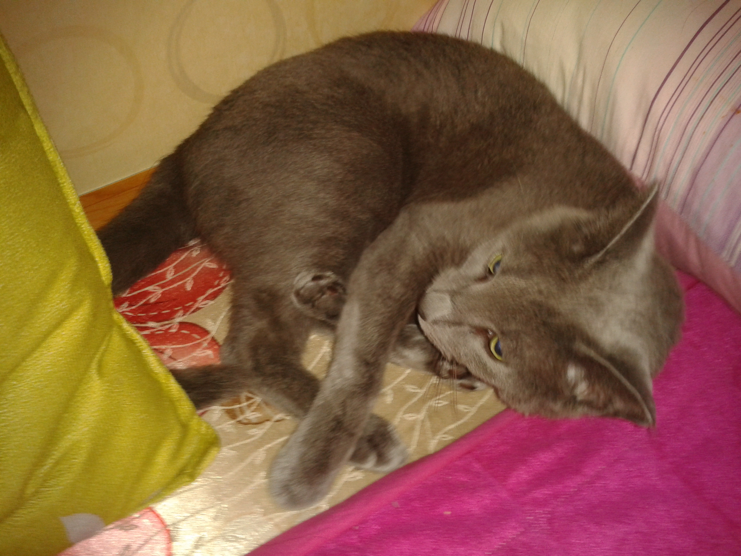 2011-11-05 08.35.47.jpg