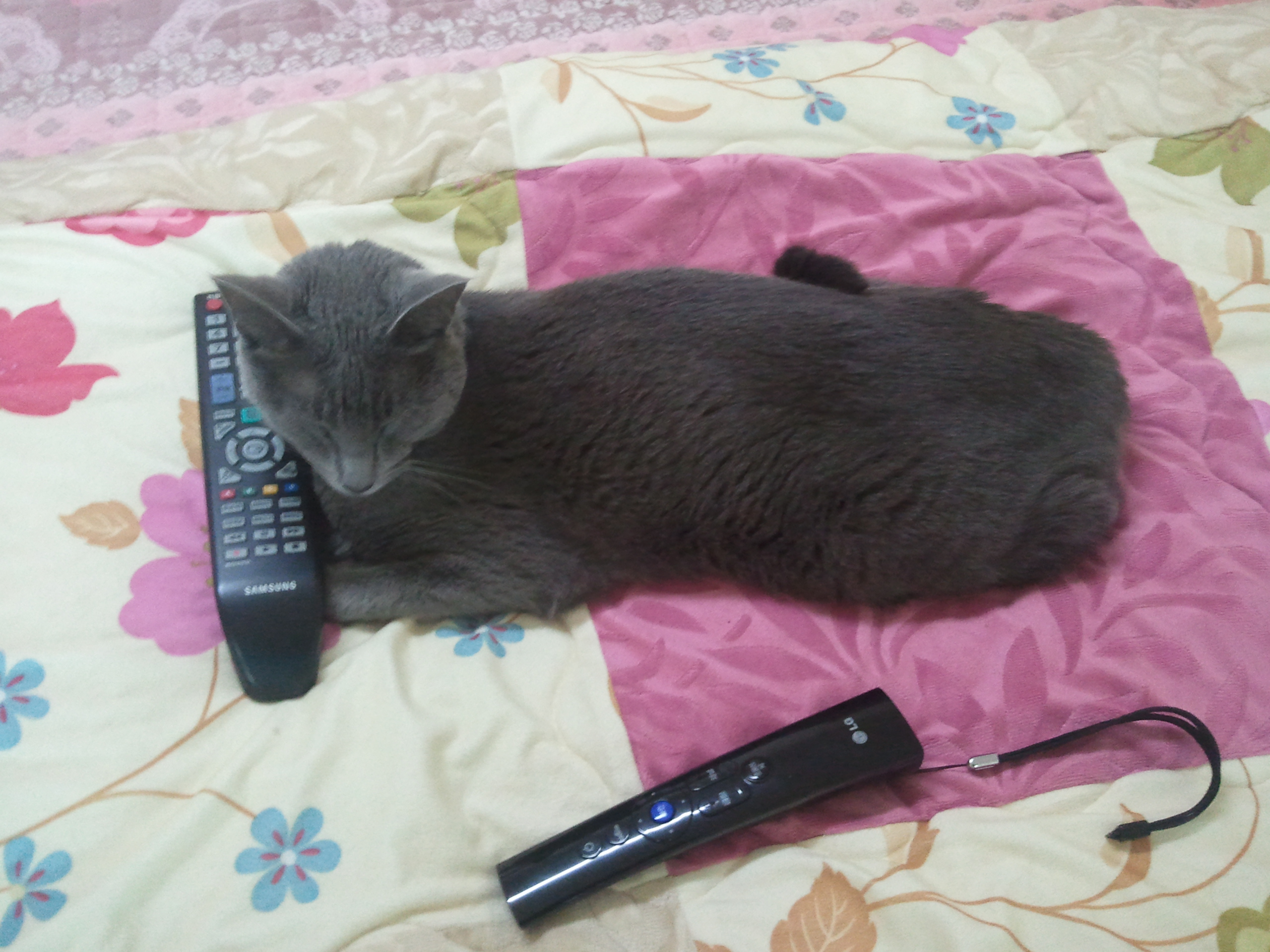 2012-03-07 11.55.30.jpg