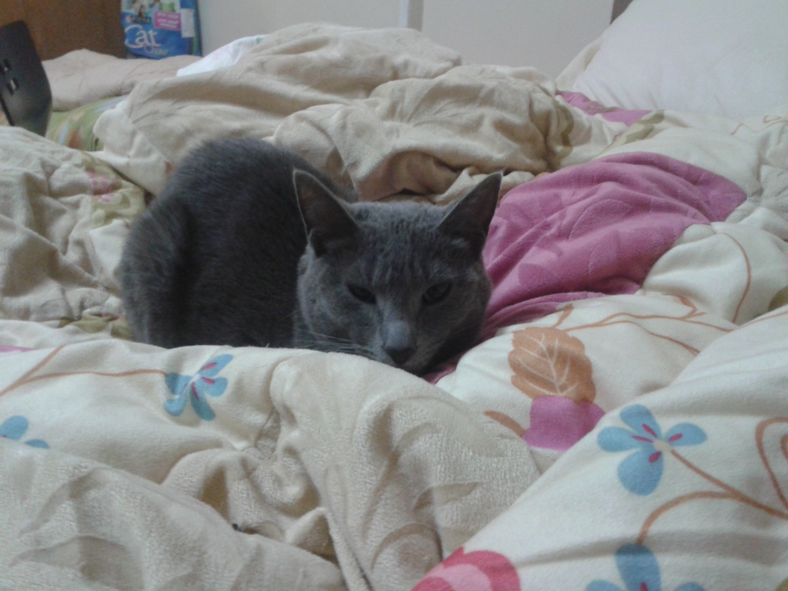2012-02-13 20.37.55.jpg