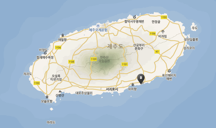 금호리조트.png