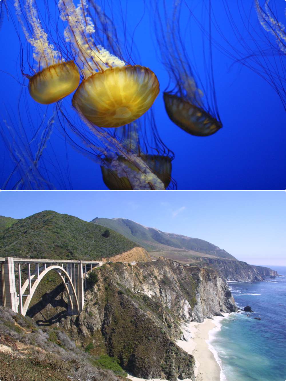 monterey.jpg