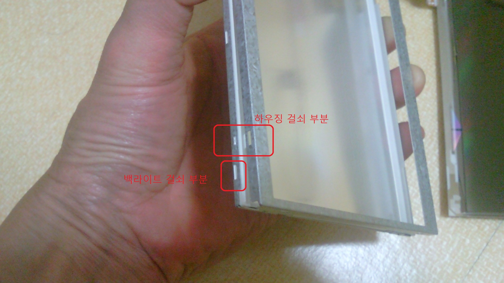 SNC00291.jpg