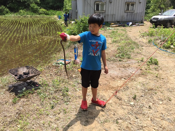 성원이.jpg