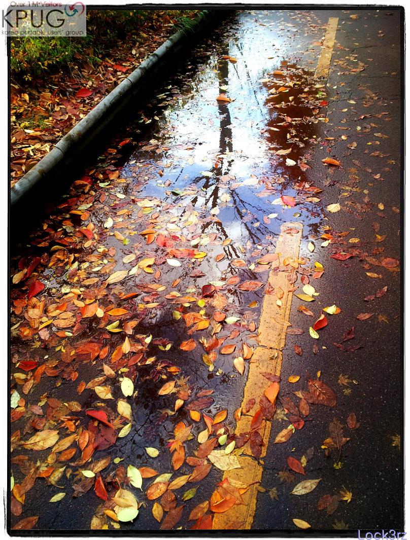 20121117_151819-picsay.jpg