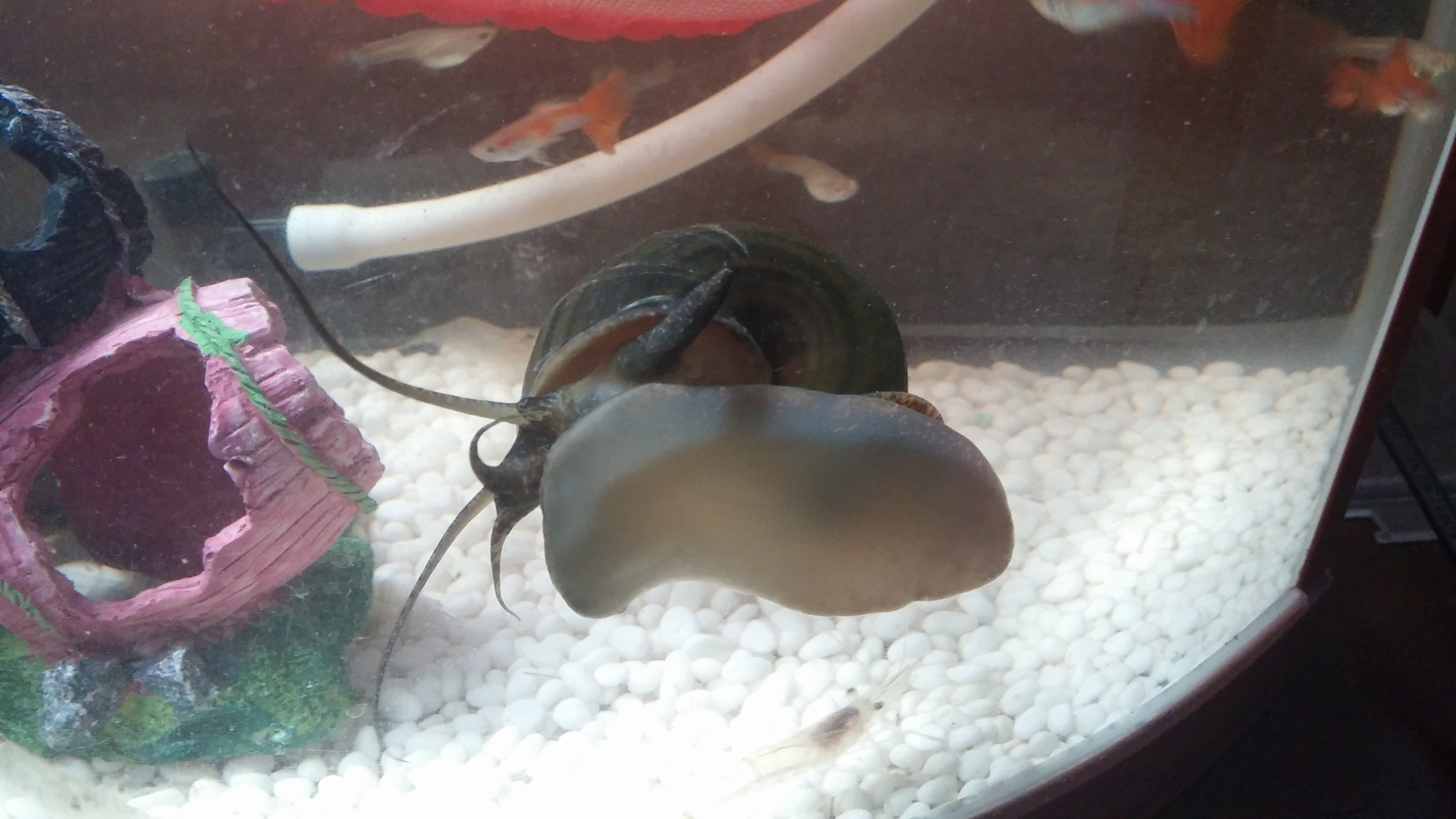 20150704_155133.jpg