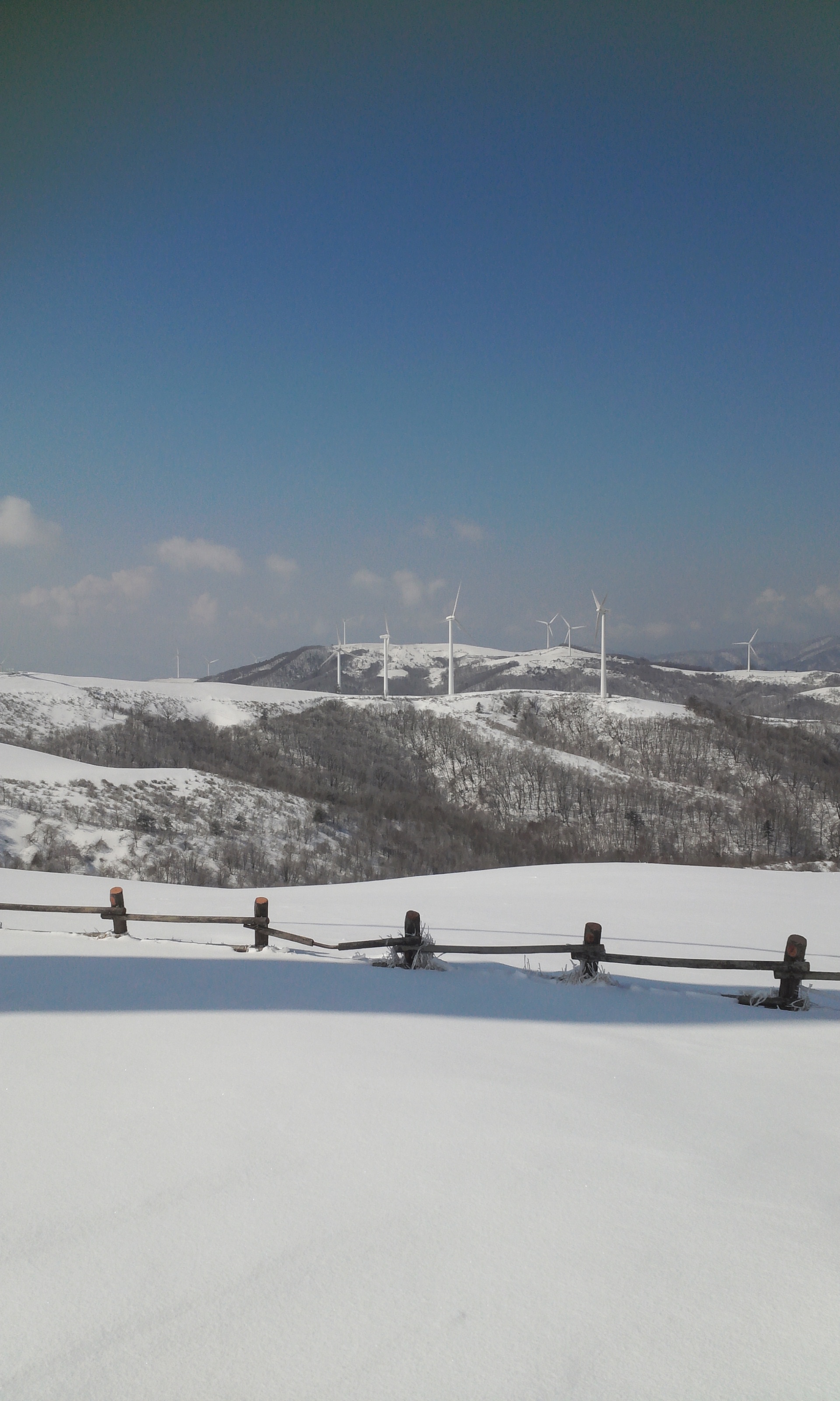 20140405_0955509.jpg