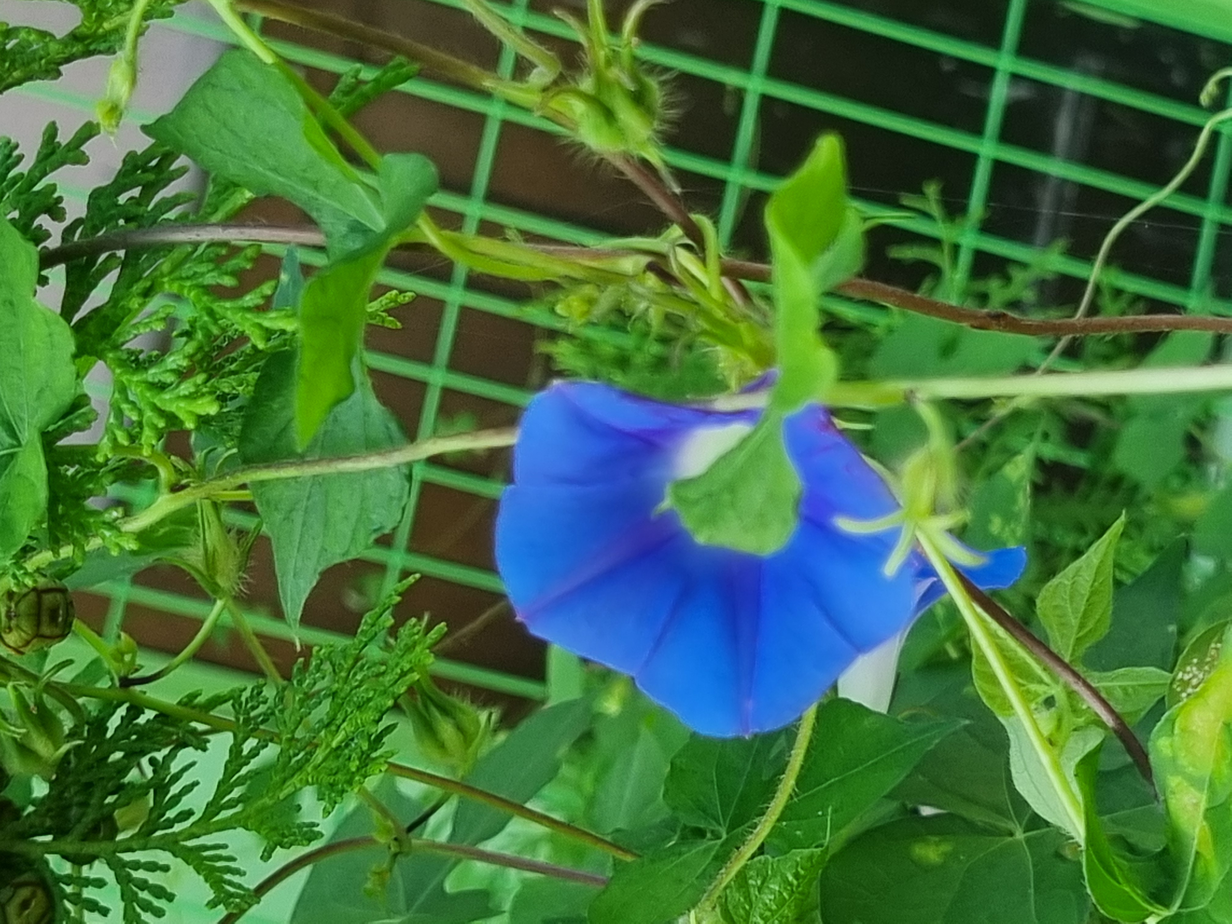 20240903_085615.jpg