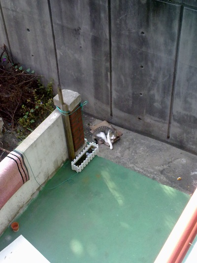 201010071202.jpg