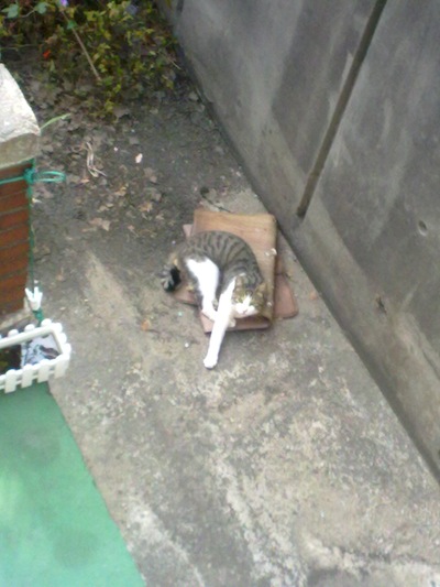 201010071204.jpg