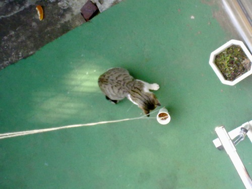 201010071206.jpg