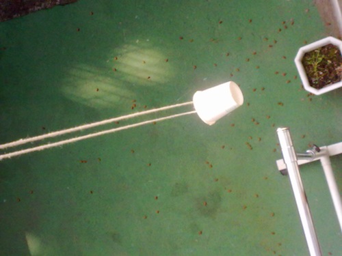 201010071207.jpg