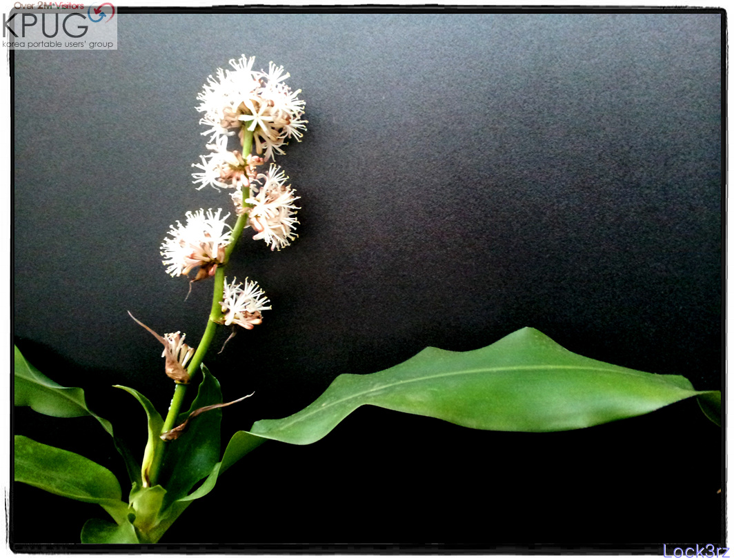 2013-05-13 18.36.39.jpg