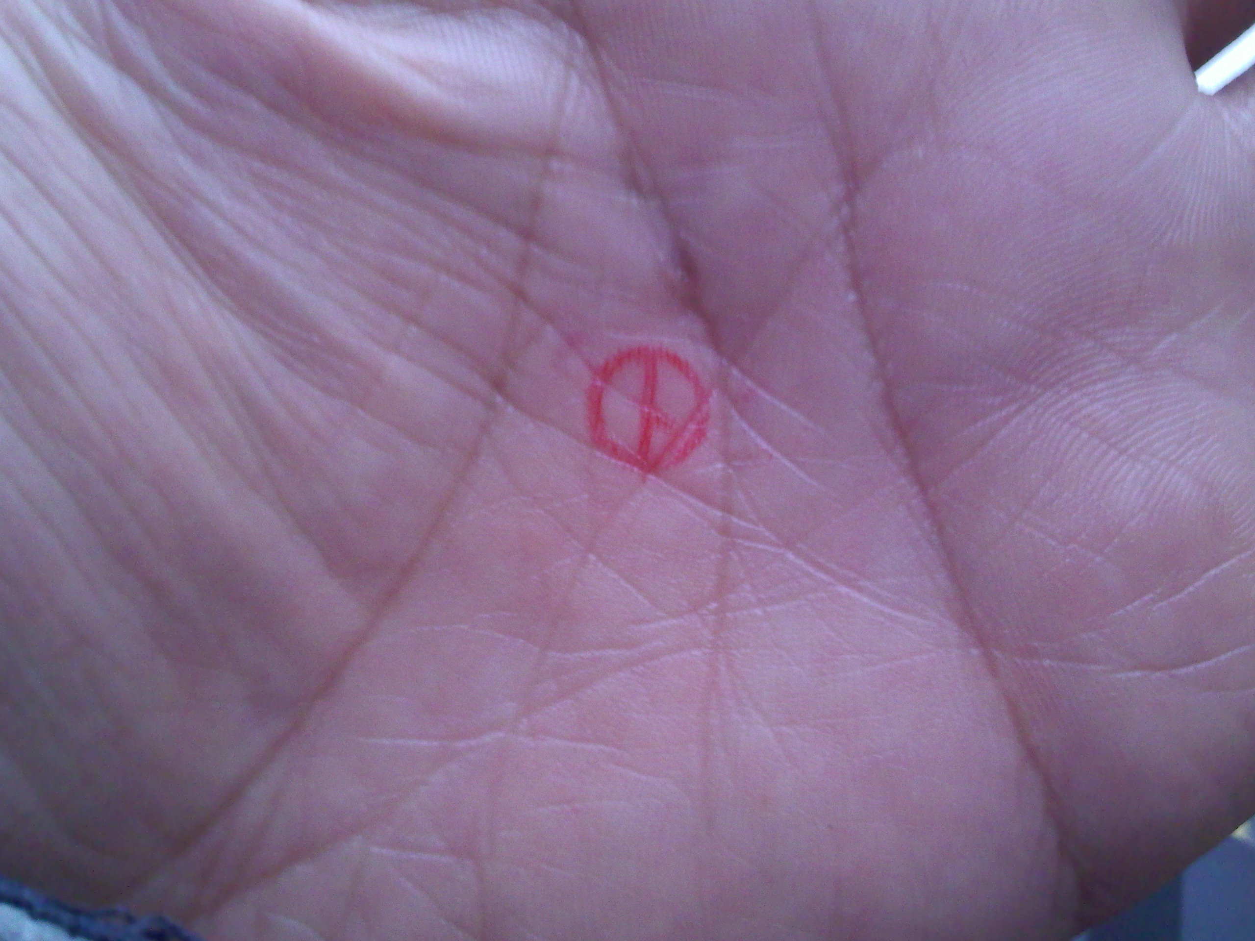 IMG20120411_001.jpg