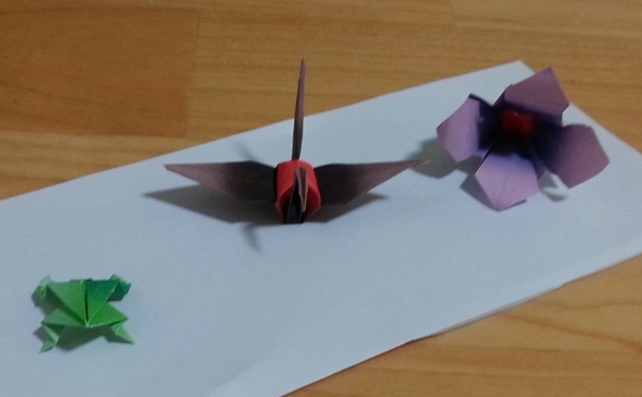 20141102_232518-1.jpg