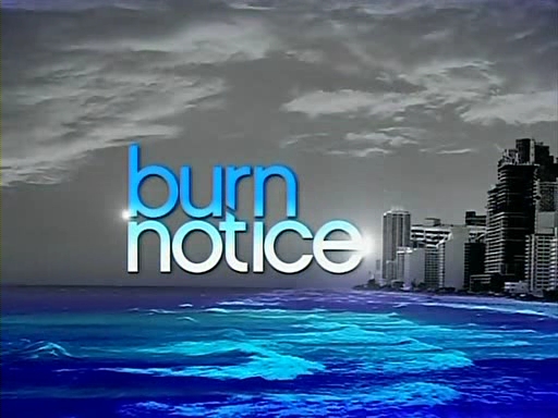 Burn.Notice.S01E03.DSR.XviD-NoTV.avi_000178511.jpg