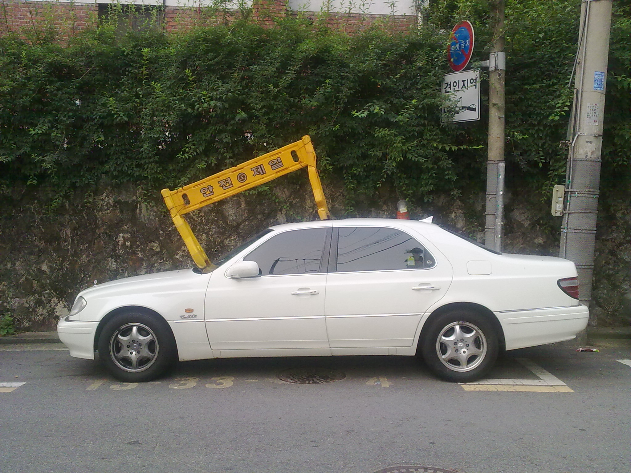 20100629146.jpg