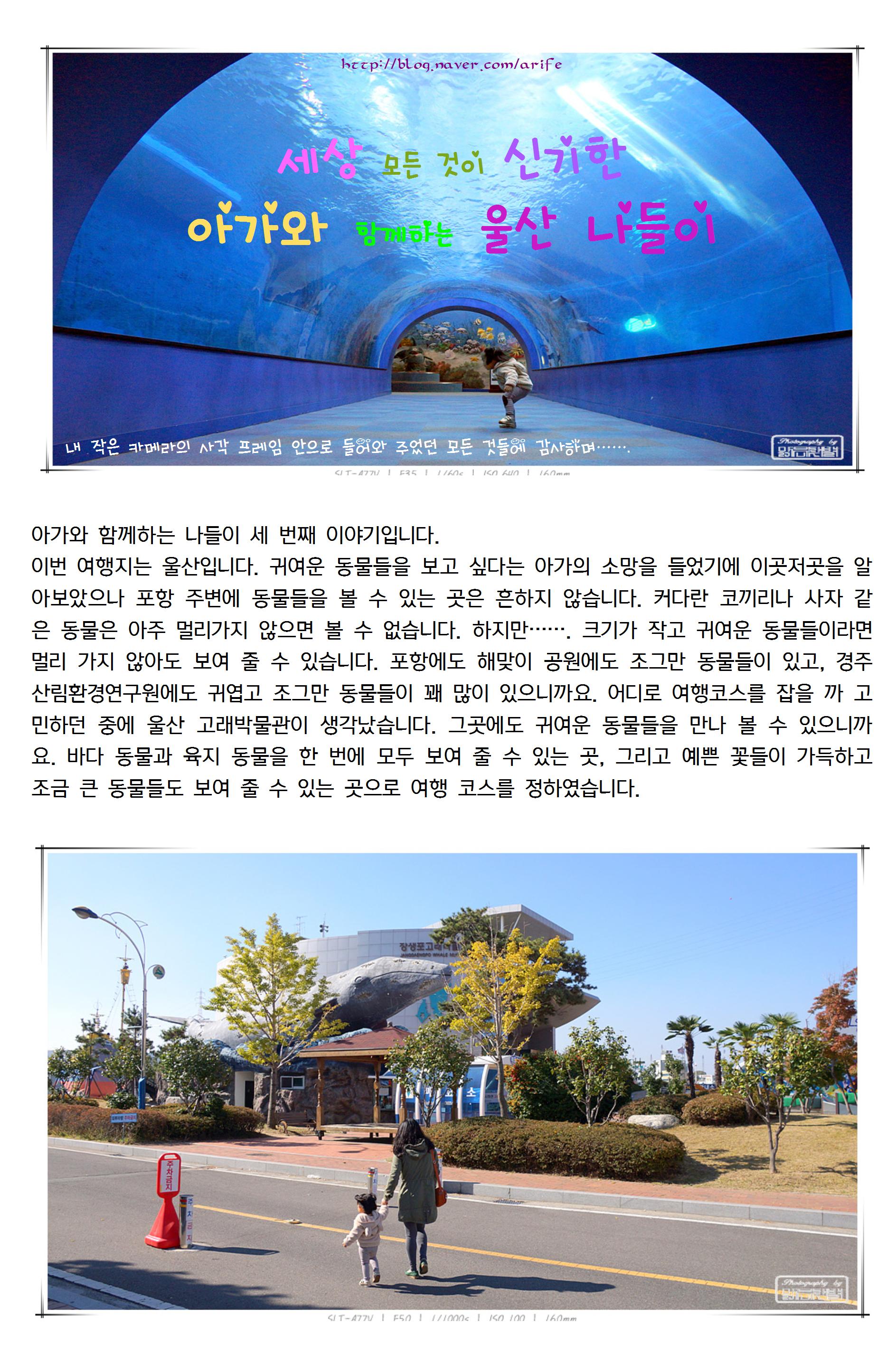 20131030선우001_cr.jpg
