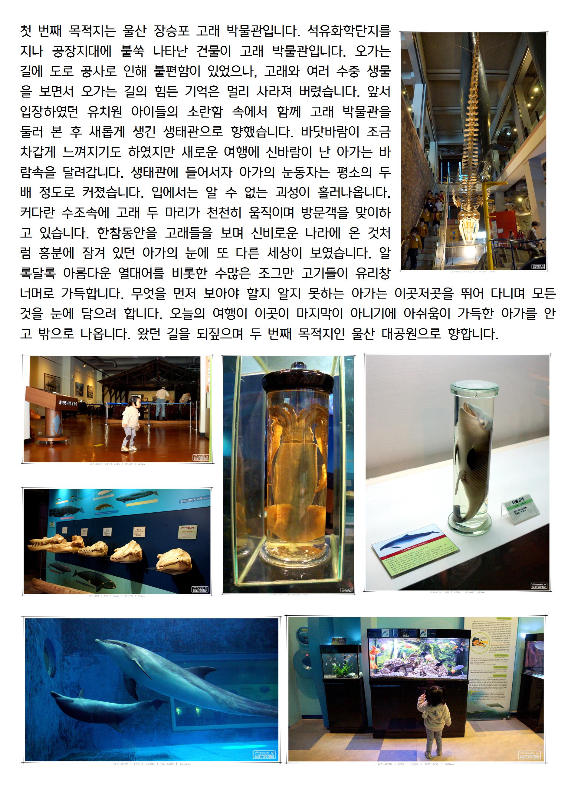 20131030선우002_cr.jpg