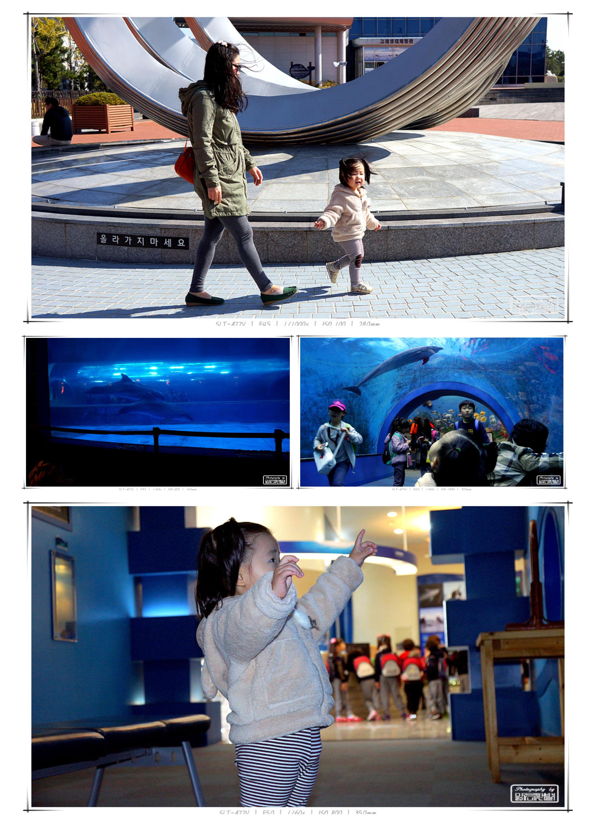 20131030선우003_cr.jpg