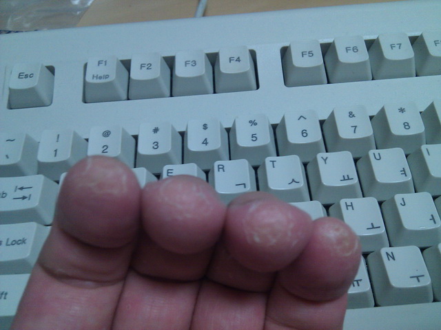 IMG_20110419_005422.jpg