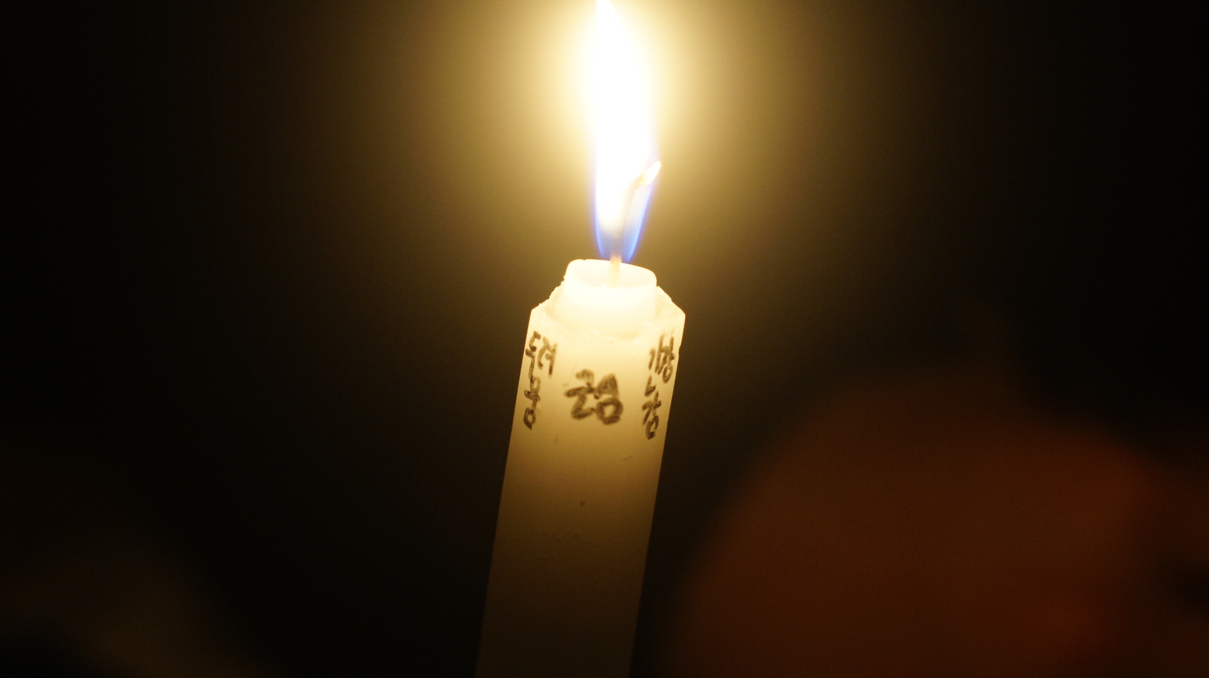 _DSC0867.JPG