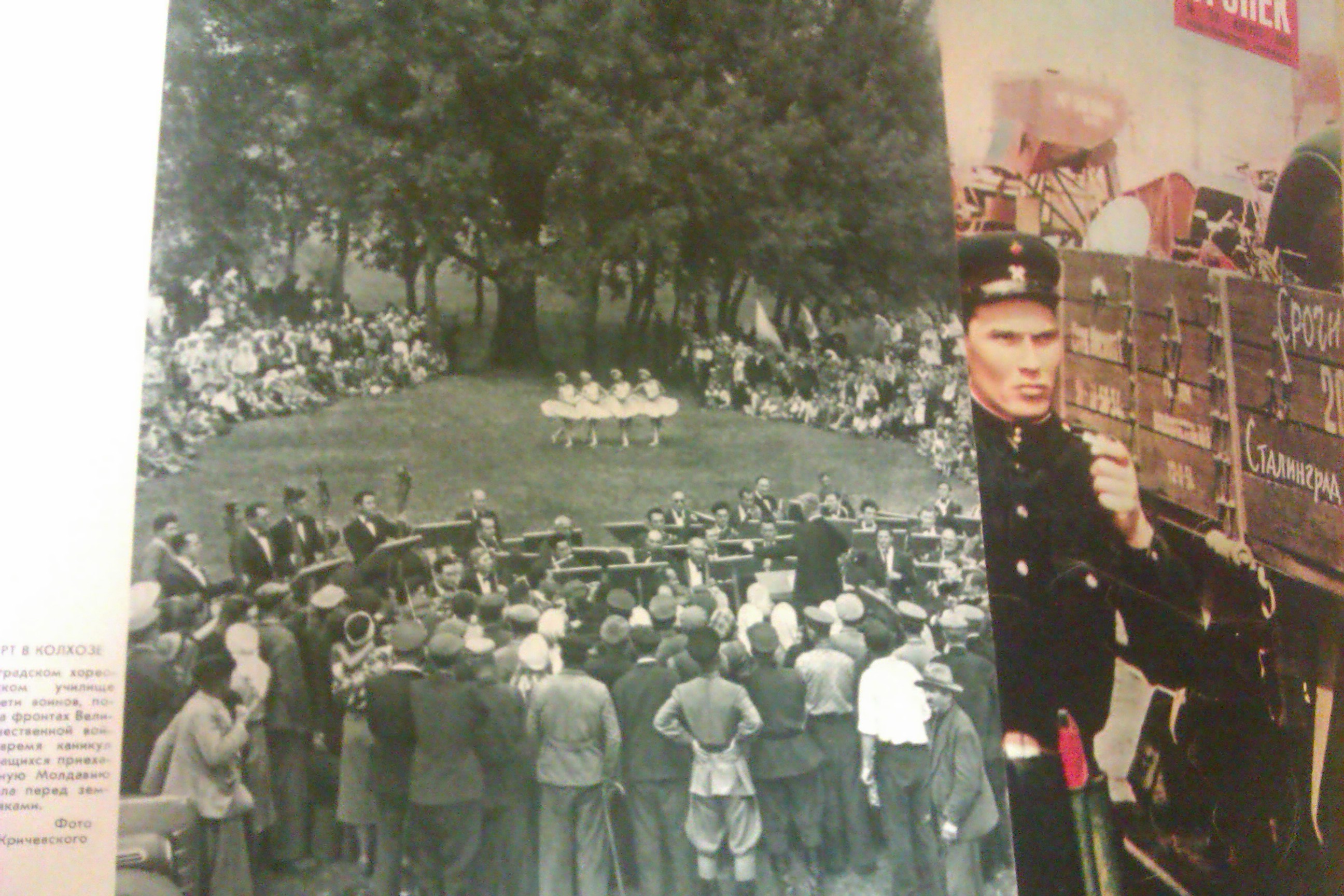IMAG0286.jpg