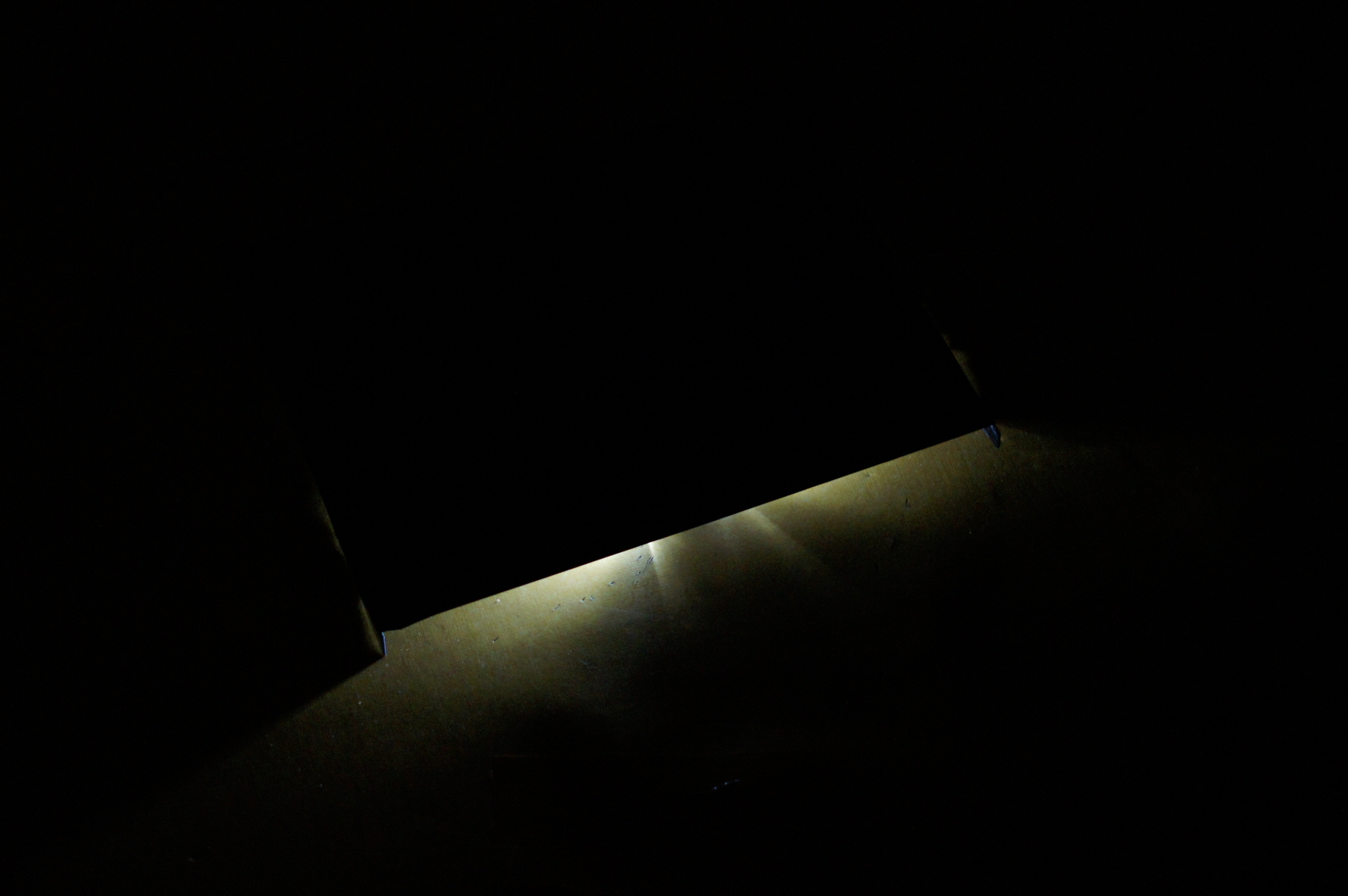 DSC09639.JPG