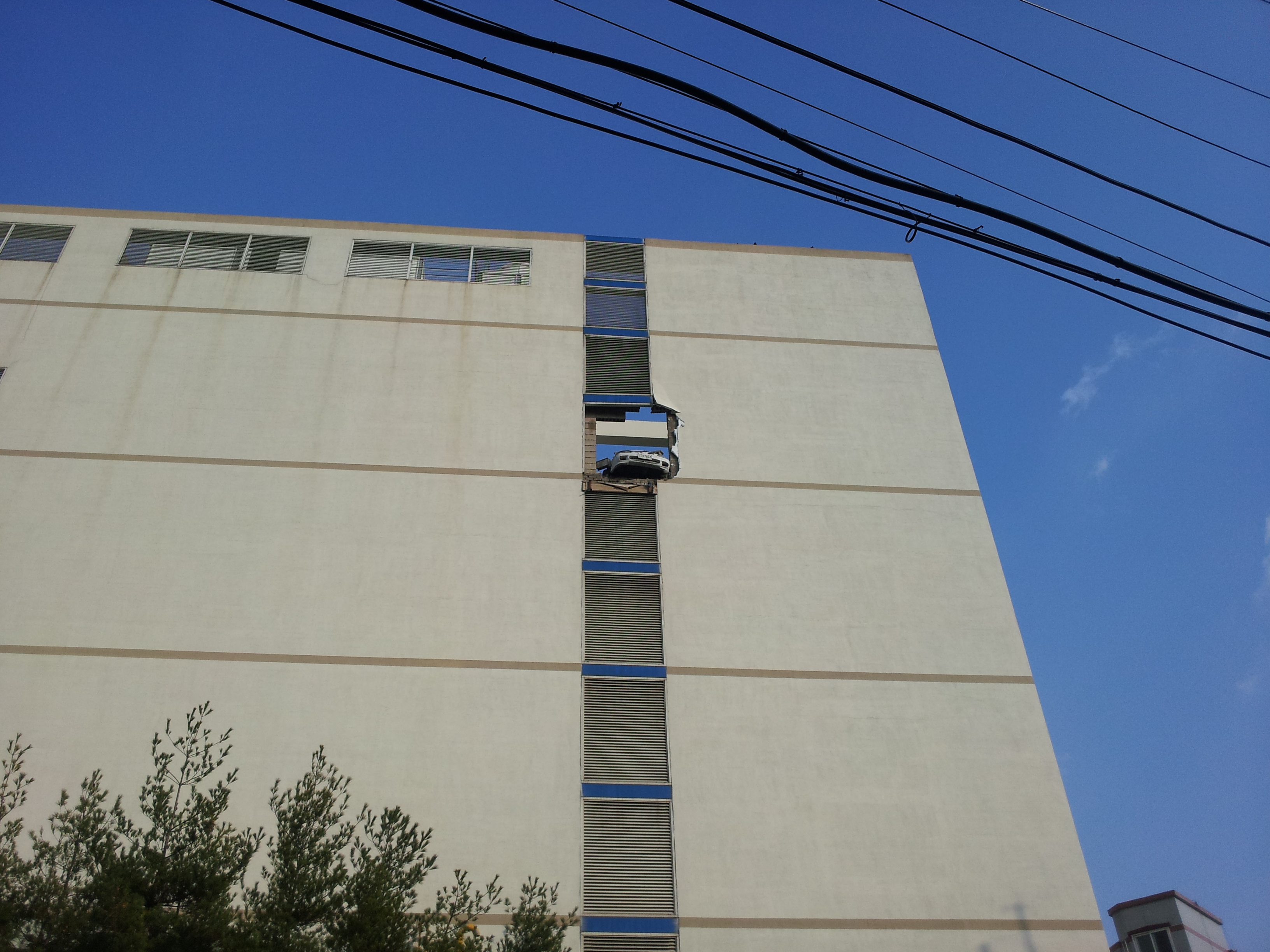 20121117_150348.jpg