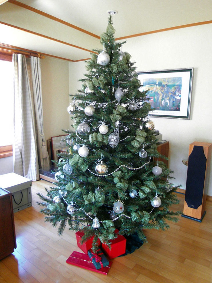 tree_fin_1.JPG