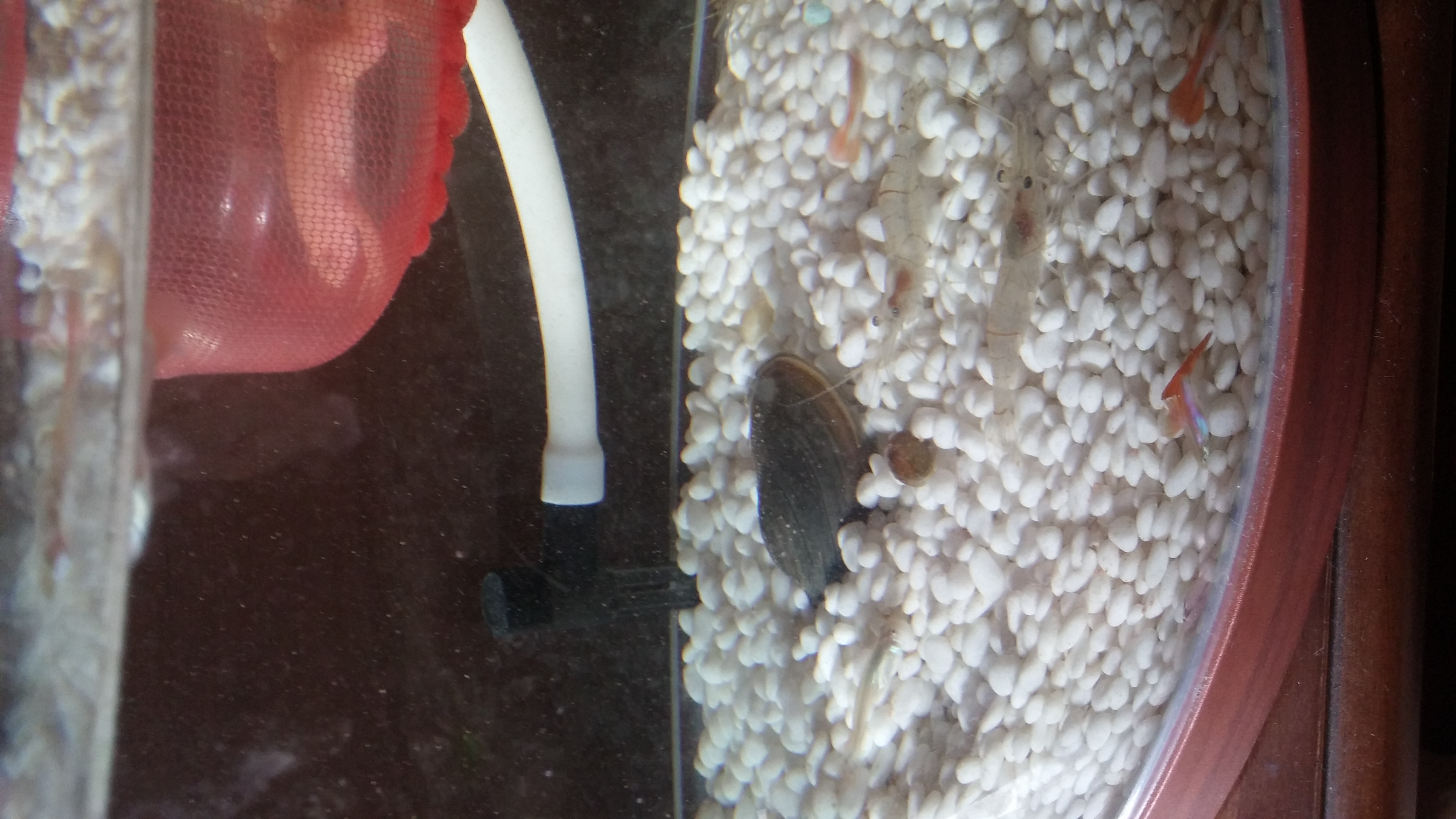 20150621_235544.jpg