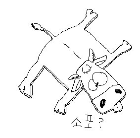 sopo.jpg