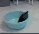 ㅠㅠ.gif