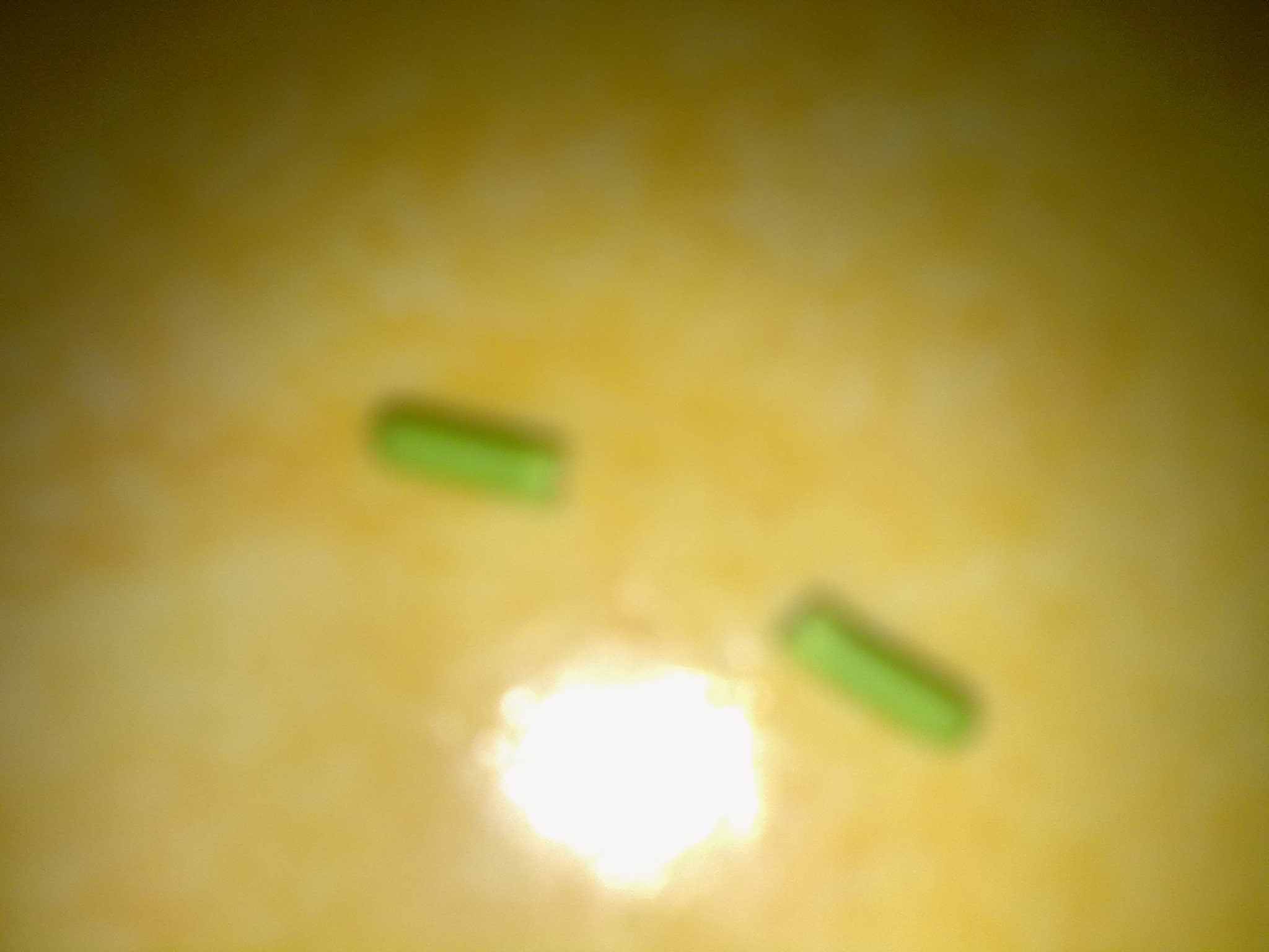 20110905052.jpg