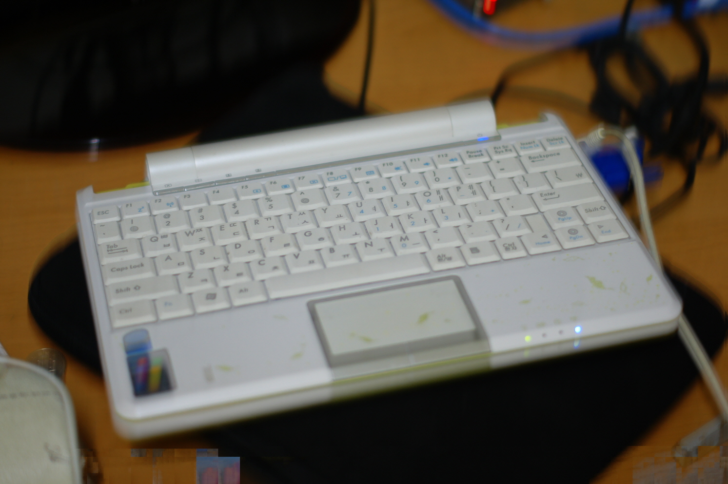 DSC09666.JPG