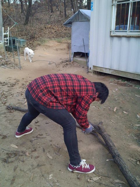 IMG20131123_028.jpg