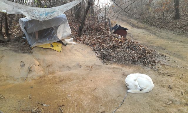 20131124_0927014.jpg
