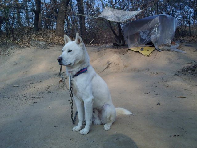 IMG20131123_023.jpg