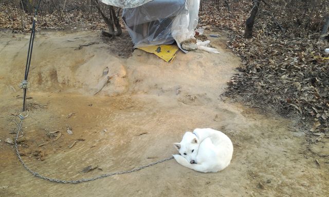 20131124_0927361.jpg