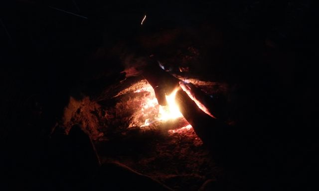 20131124_0026231.jpg
