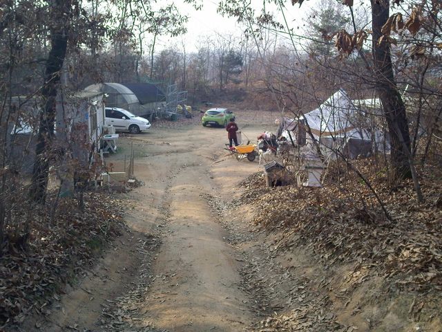 IMG20131123_013.jpg