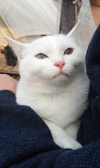 20131124_0929324.jpg