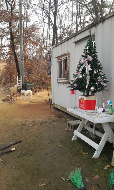 20131124_1128439.jpg
