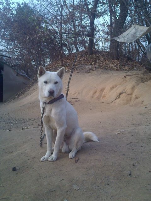 IMG20131123_035.jpg
