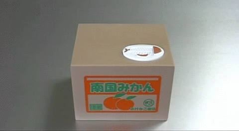 tumblr_m665z4mcis1qbyxr0o1_500.gif