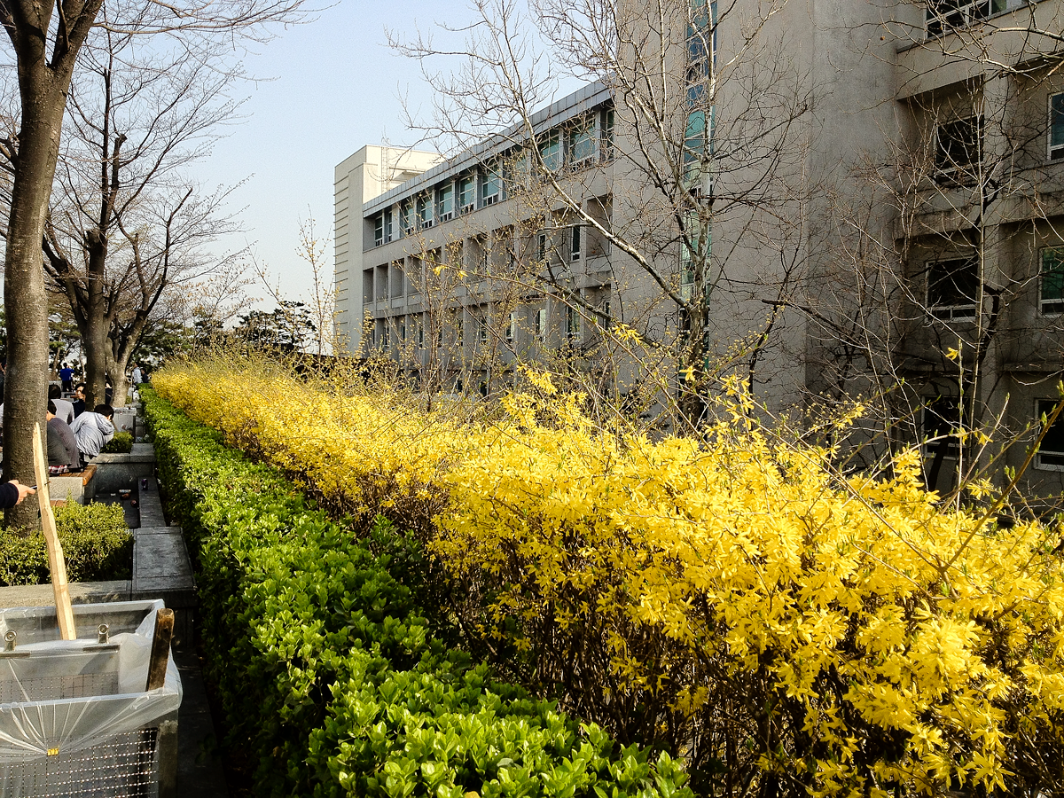 20120417_hyu2.png