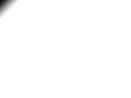 z.gif