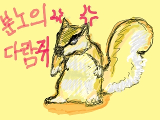 squirrel.jpg