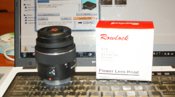 꾸미기_DSC05534.JPG