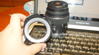 꾸미기_DSC05536.JPG